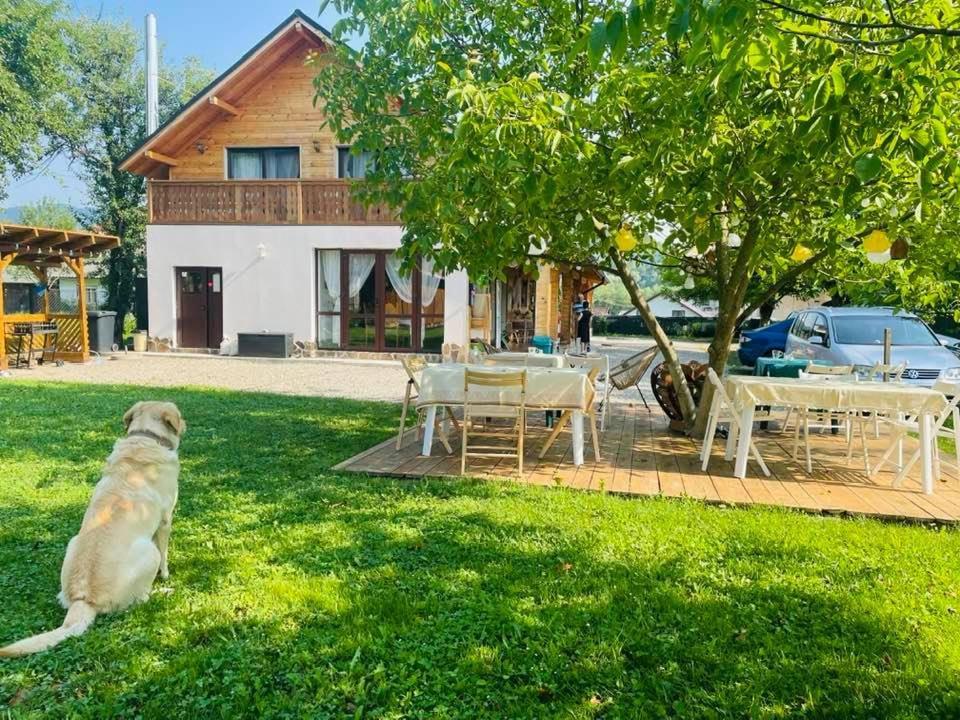Gradina Lu' Ion "A Home Away From Home" (Adults Only) Vişeu de Sus Extérieur photo