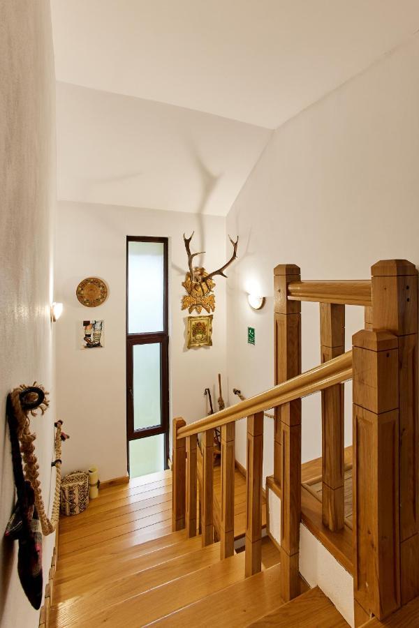 Gradina Lu' Ion "A Home Away From Home" (Adults Only) Vişeu de Sus Extérieur photo